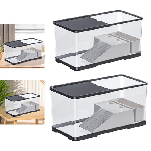Acquario per tartarughe