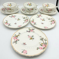 Limoges France LIM141 9pc Dish