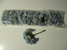12 MAZZOLINI DA 12 FIORI L'UNO
