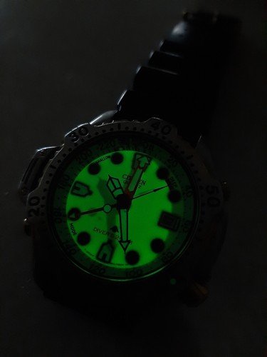 Citizen promaster aqualand - citizen,