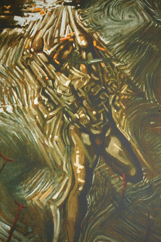 Salvador dalì litografia - dalì,