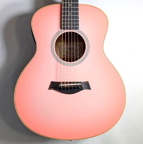 Taylor mini special - gs,