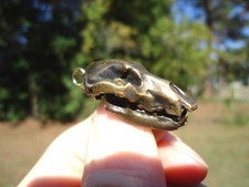 REPLICA TESCHIO ORSO DELLE