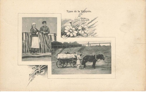 Ucraina ukrainia as30579 - #as30579, tipi