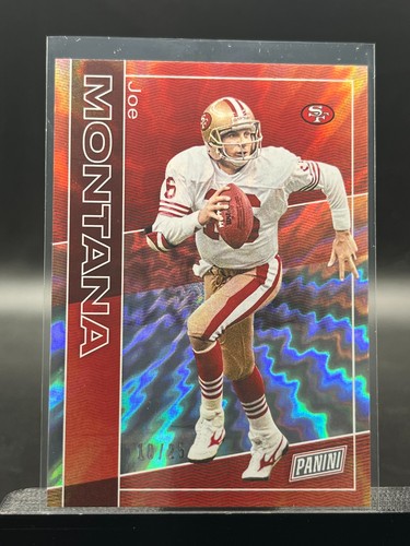 2025 panini nscc vip silver - vip,