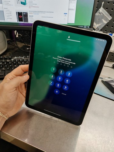Apple ipad 256gb - ipad,