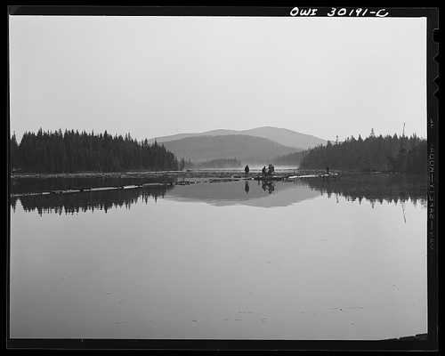 Long pond maine 1943 - maine, brown