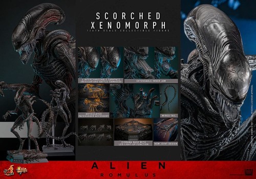 Hot toys alien romulus movie - hot,