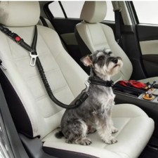 Cintura sicurezza auto cane