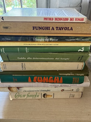 Libri sullo studio - sullo,