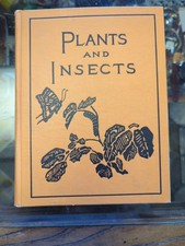 1921 PLANTS & INSECTS Fireside