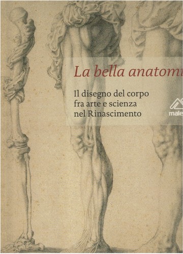 Bella anatomia il disegno - bella,