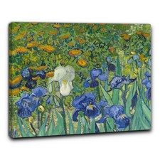 Niik Quadro iris di vincent