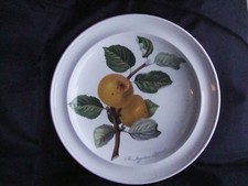 PIATTINO DA PARETE POMONA PORTMEIRION THE INGESTRY PIPPIN