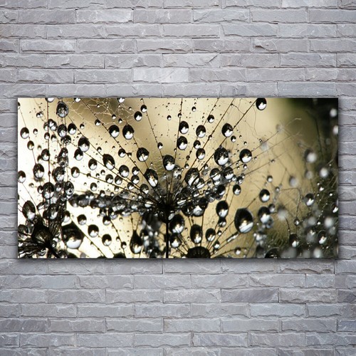 Stampa tela canvas 120x60 - stampa,