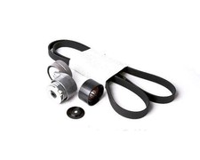 Tendicinghia Trasmissione