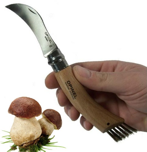 Coltello per funghi - 8,