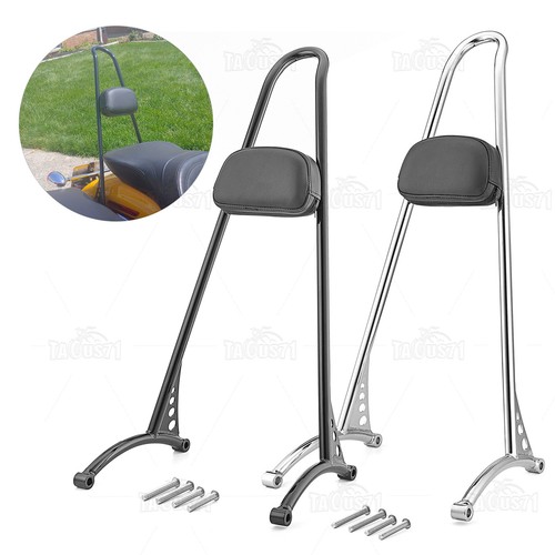 Tall sissy bar passenger - sissy,