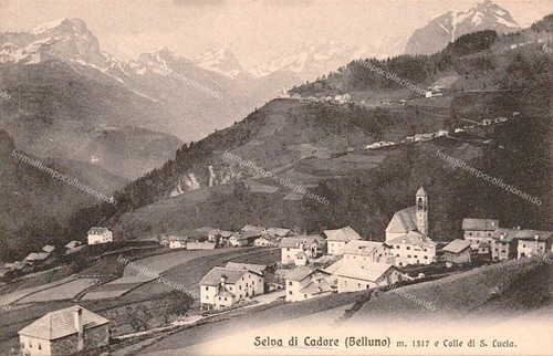 Ec741 cartolina selva di - cartolina,