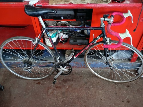 Bianchi bicycle - bianchi,