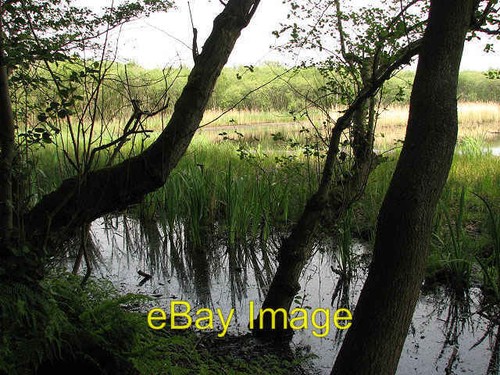Photo 6x4 water - water, iris