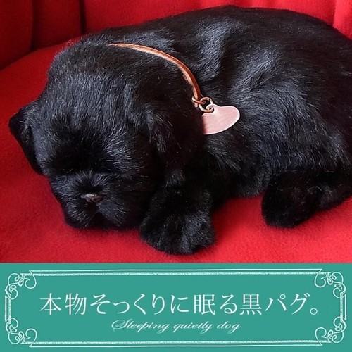Nini and kino perfetto - nini,