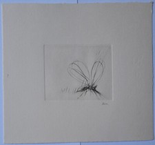 Guido Strazza (Santa Fiora 1922) - Insetti, 1980 - Incisione n° 7