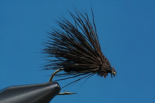 Fliegentom mosca secca 3 - mosca,