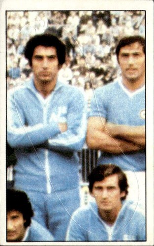 Figurina calciatori panini - figurina,