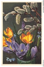 AVYP15-0909-FIORI - Fiori