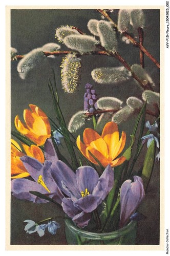 Avyp15 0909 fiori - -,