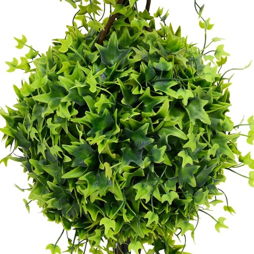 Vidaxl pianta bosso - vidaxl,