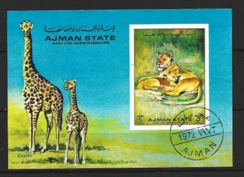 Animali girafe leoni ajman - e,