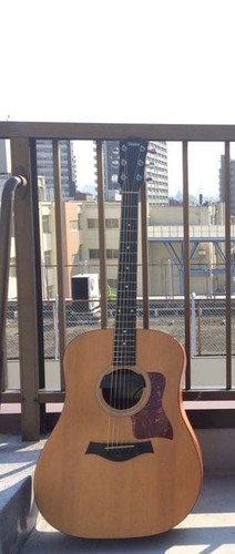 Taylor 110 chitarra sunrise - taylor,