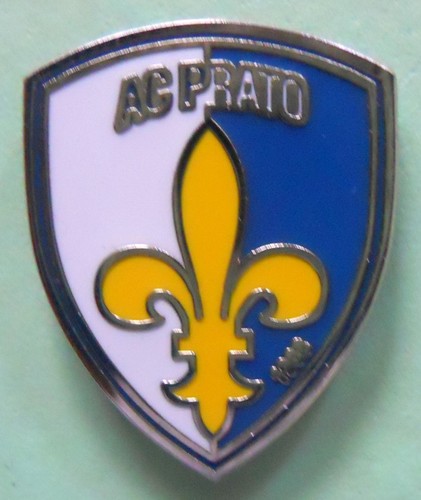 Distintivo spilla pin badge - distintivo,
