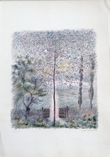 MICHELE CASCELLA - "Ciliegio