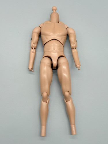 Modello corpo per - modello, 1/6
