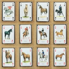 Fridge magnet playing - fridge,
