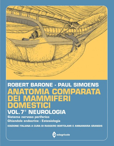Anatomia comparata dei
