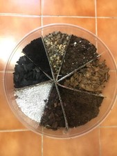 Aroid mix di vasi biologici