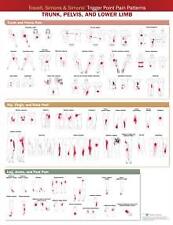 Travell Simons Simons' Trigger Point Pain Patterns Wall Chart b
