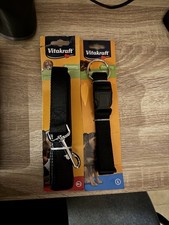 Guinzaglio E Collare  Cane