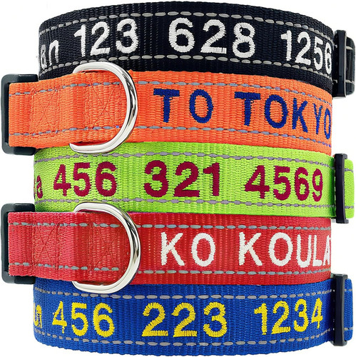 Collare personalizzato cane - collare,