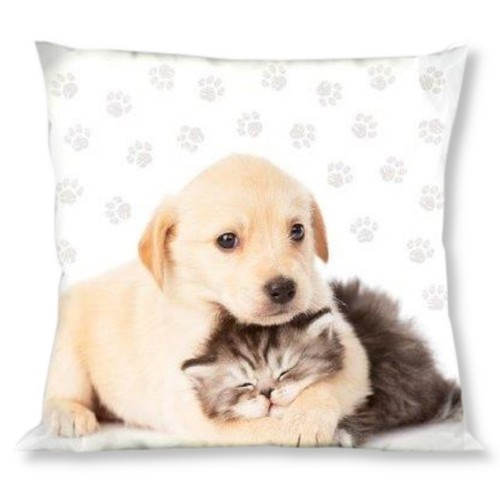 Cuscino - cuscino,
