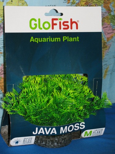 Glofish pianta acquario java - glofish,