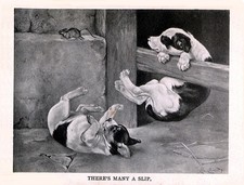 STAFFORDSHIRE BULL TERRIER CHARMING DOG GREETINGS NOTE CARD PUPS PLAY CHASE RAT