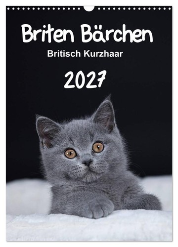 Briten bärchen britisch - briten,