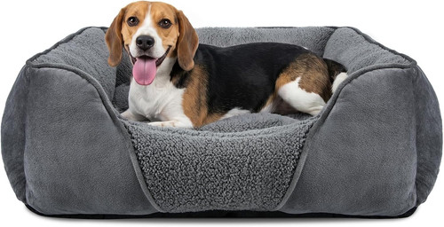 Cuccia cane interno media - cuccia,