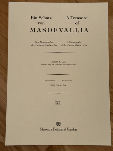 Treasure masdevallia - of,