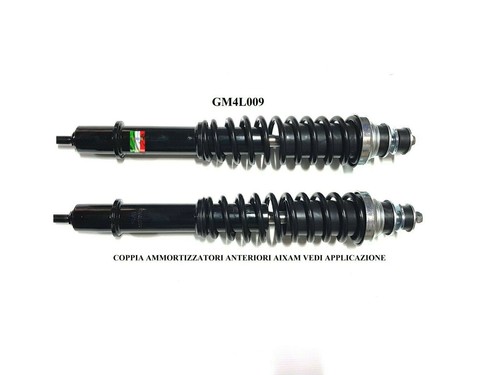 Ammortizzatori - ammortizzatori, (coppia)
